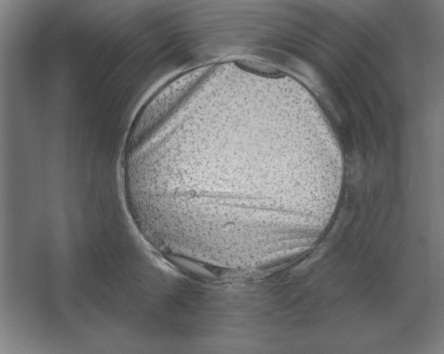 X0000062140814200512301526