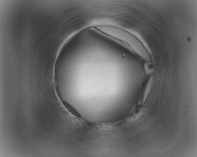 X0000062140815200512301526