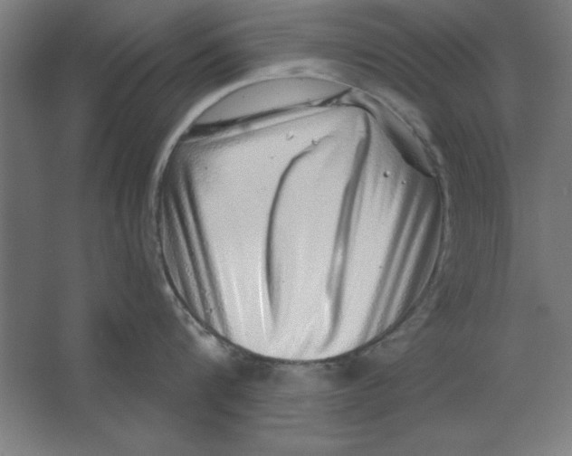 X0000062140816200512301526