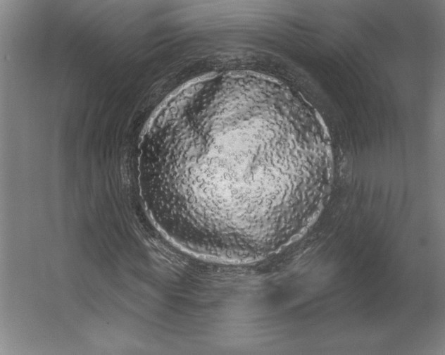 X0000062140819200512301525