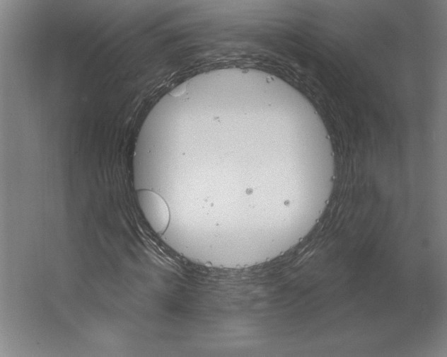 X0000062140820200512301525