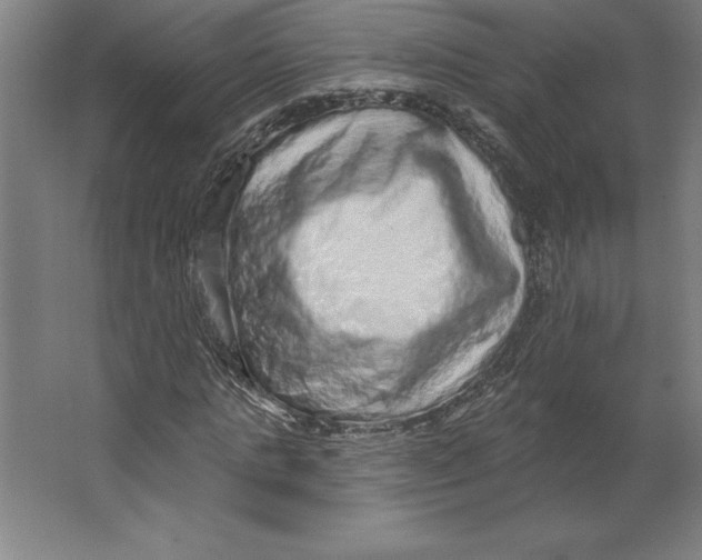 X0000062140821200512301525