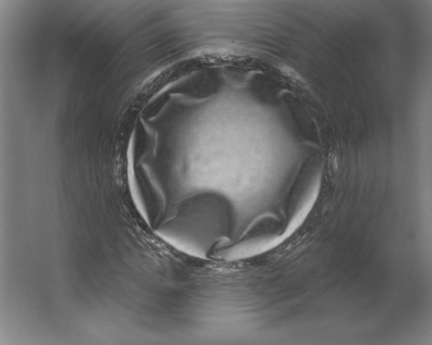 X0000062140822200512301525