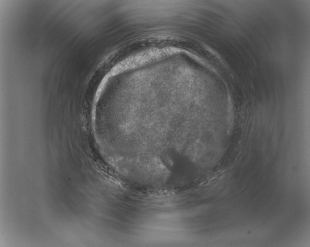 X0000062140823200512301525