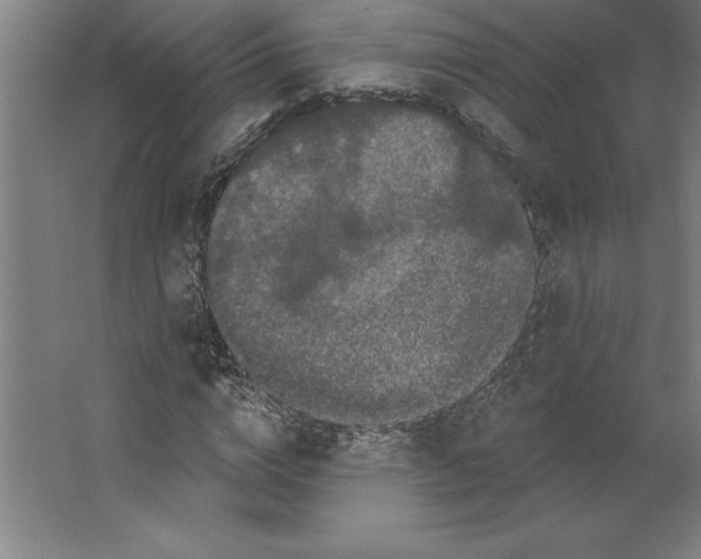 X0000062140824200512301525