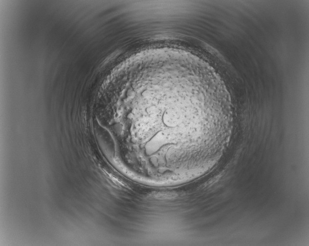 X0000062140825200512301525