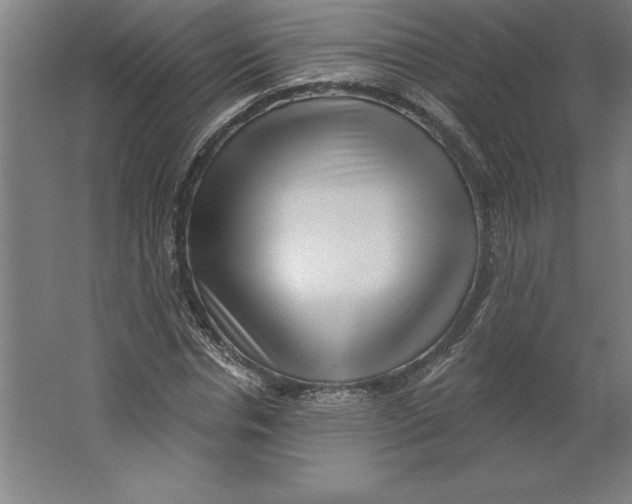 X0000062140826200512301525