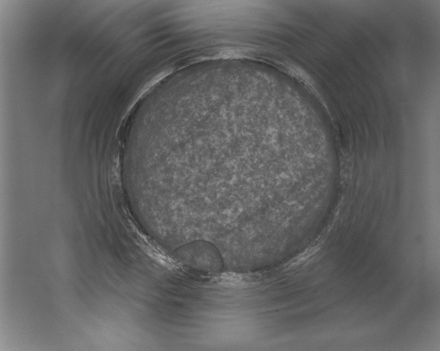 X0000062140827200512301525