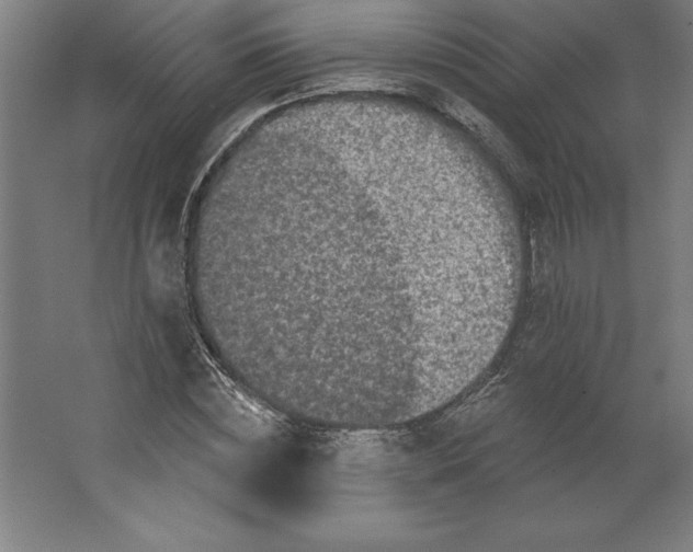 X0000062140828200512301525