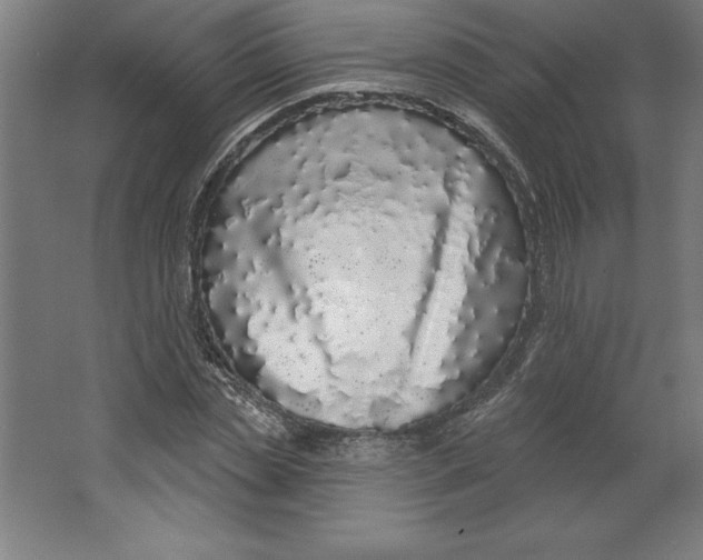 X0000062140829200512301525