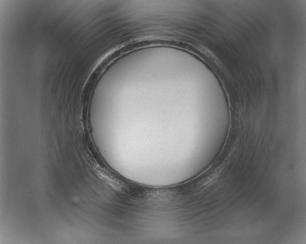 X0000062140830200512301525