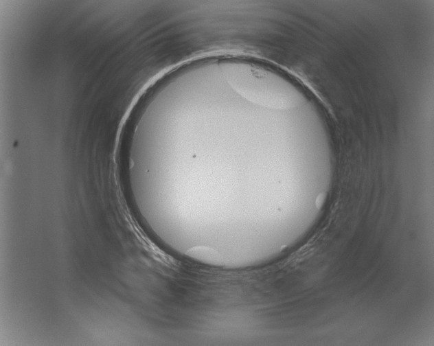 X0000062140832200512301525