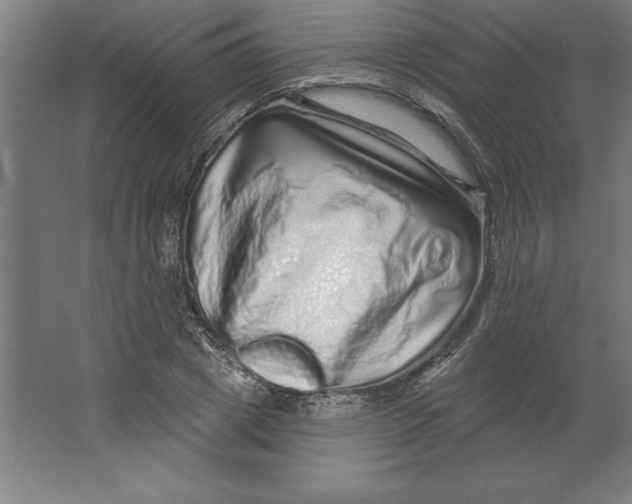 X0000062140833200512301525