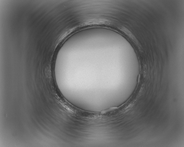 X0000062140834200512301525