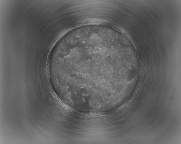 X0000062140835200512301525