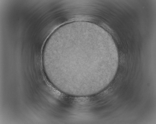 X0000062140836200512301525