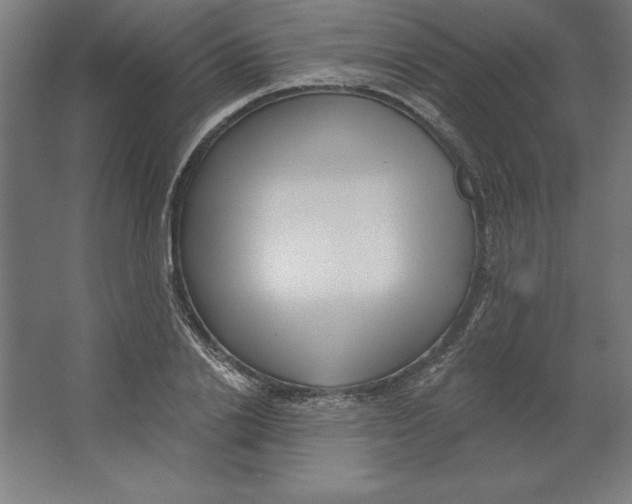 X0000062140838200512301525