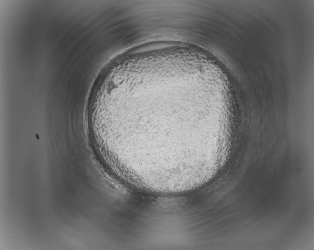 X0000062140840200512301525