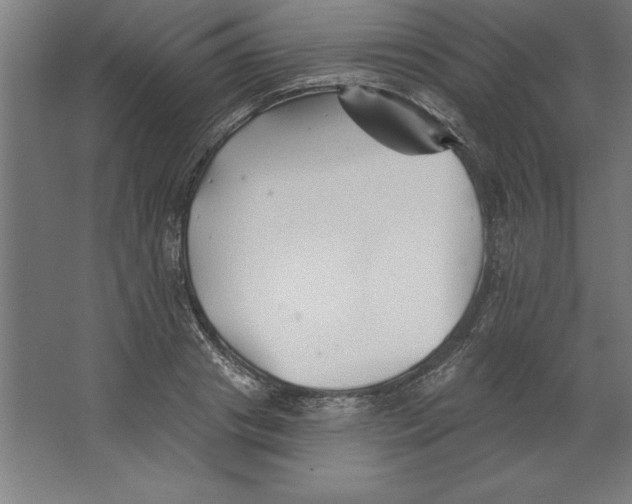 X0000062140841200512301525