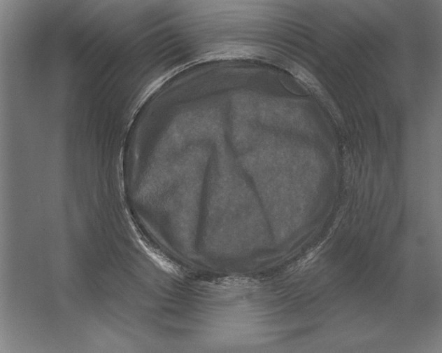 X0000062140842200512301525