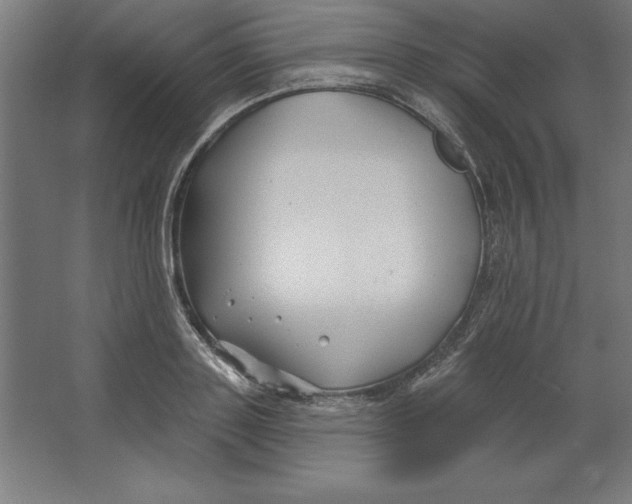 X0000062140843200512301525