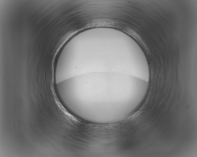 X0000062140844200512301525