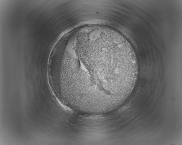 X0000062140845200512301525