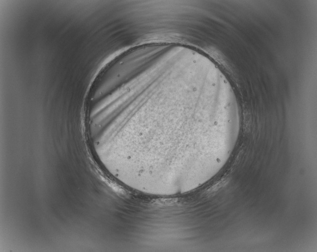 X0000062140846200512301525