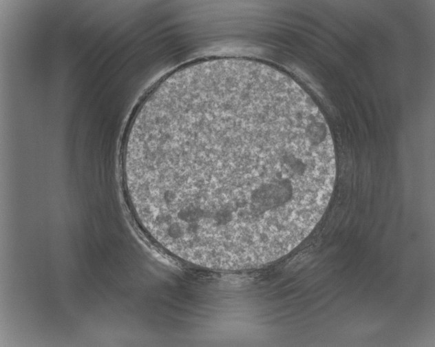 X0000062140848200512301525