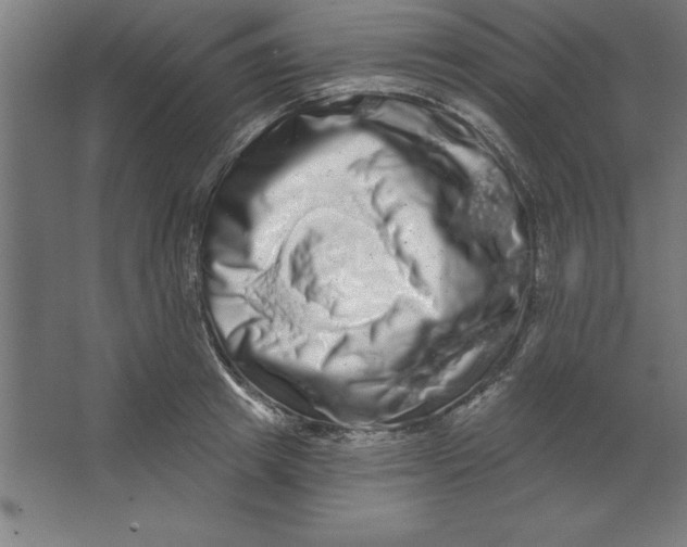 X0000062140849200512301525