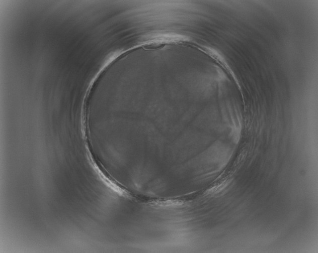 X0000062140851200512301525