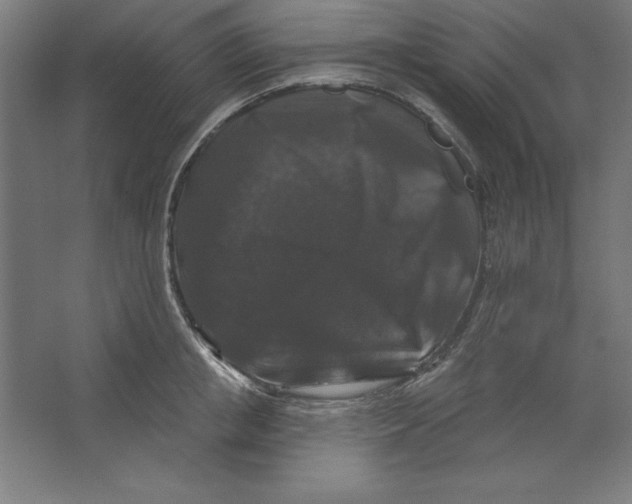 X0000062140853200512301525