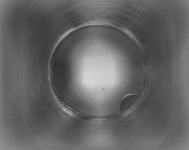 X0000062140854200512301525