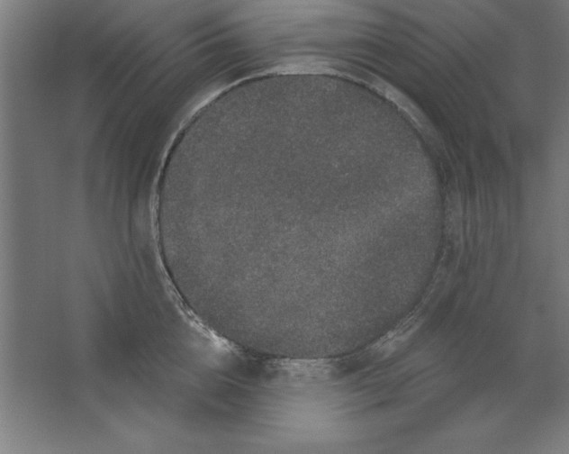 X0000062140856200512301525