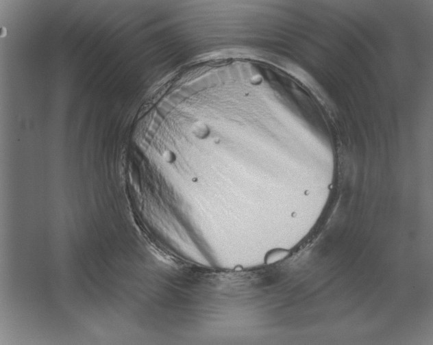 X0000062140857200512301525