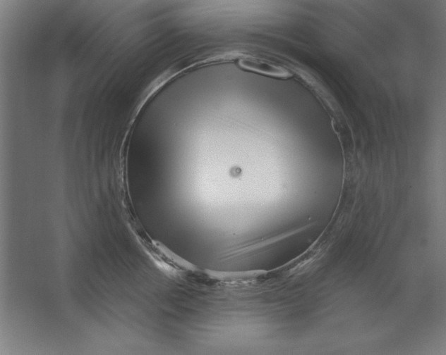 X0000062140858200512301525