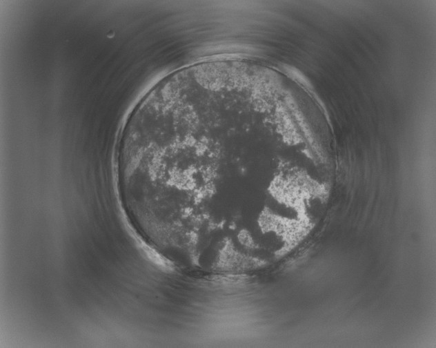 X0000062140859200512301525