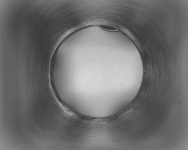 X0000062140861200512301525