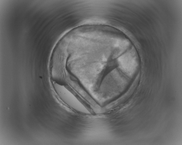 X0000062140864200512301525