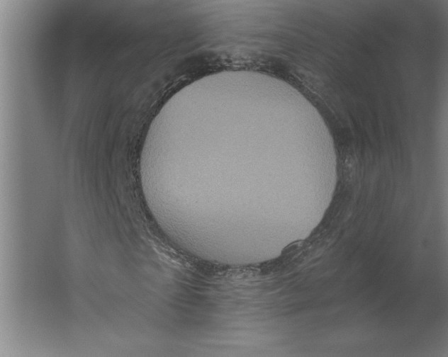 X0000062140865200512301525