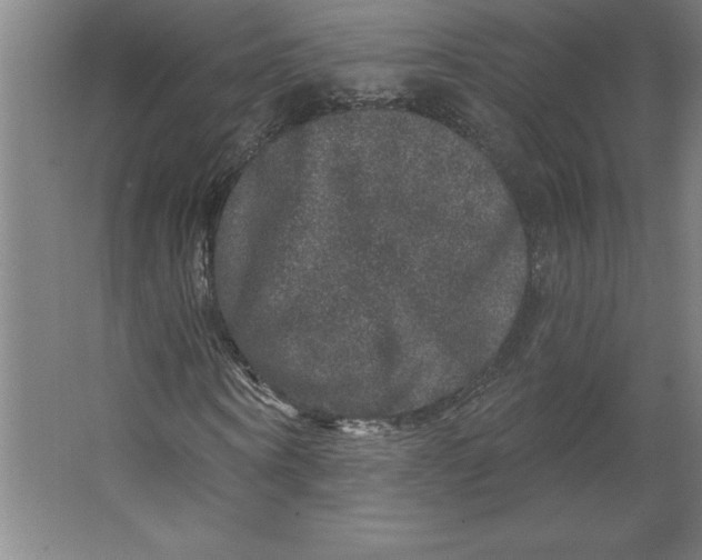 X0000062140866200512301525