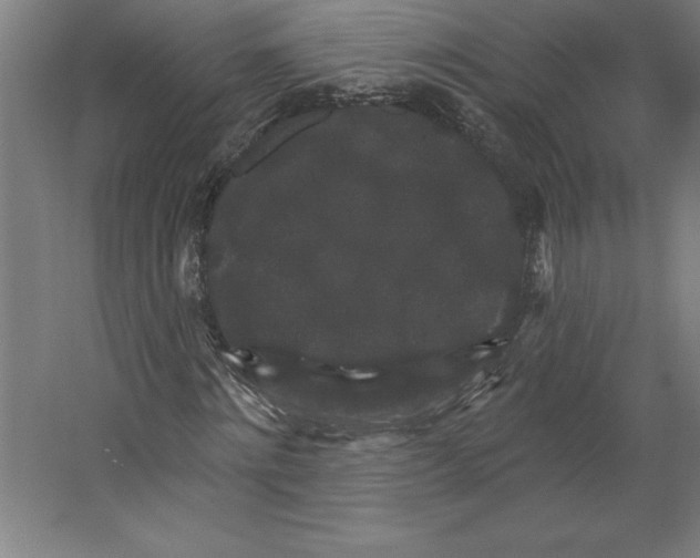 X0000062140868200512301525