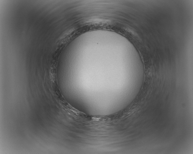 X0000062140869200512301525