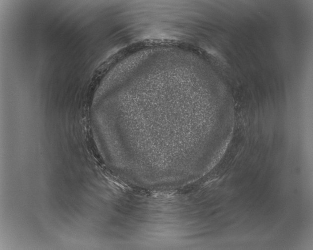 X0000062140870200512301525