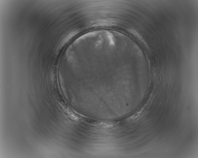 X0000062140874200512301525