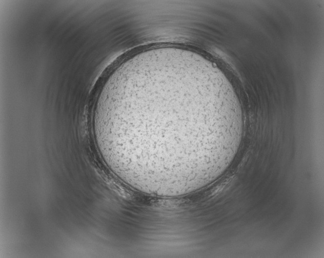 X0000062140875200512301525