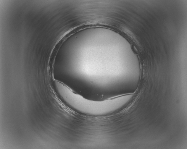 X0000062140876200512301525