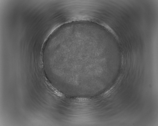 X0000062140878200512301524