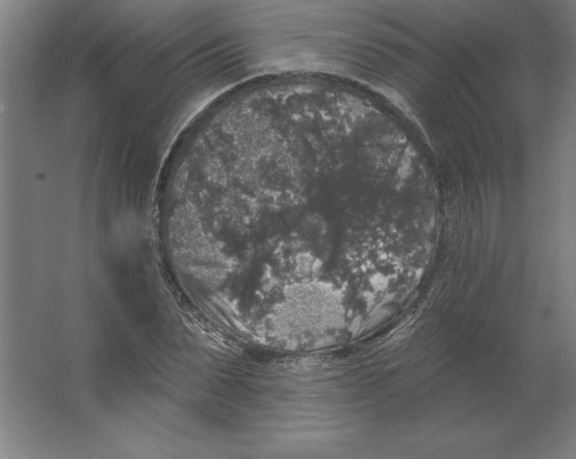 X0000062140879200512301524