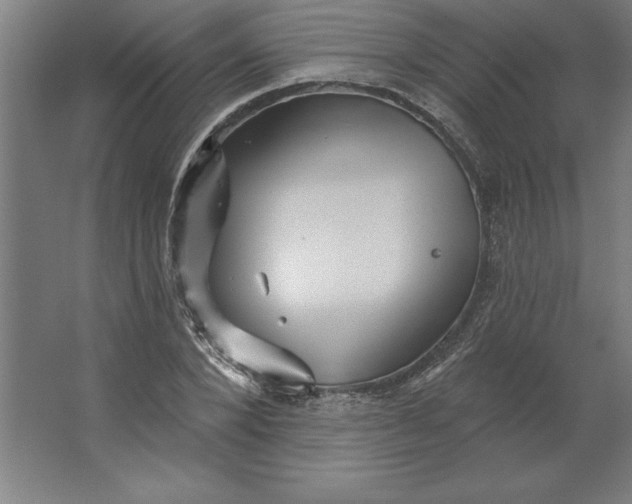 X0000062140880200512301524